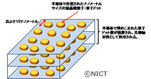 光増幅材料として用いられる量子ドット構造の鳥瞰イメージ図