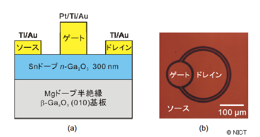 図3： 作製したGa2O3 MESFET の (a) 断面模式図、(b) 顕微鏡写真