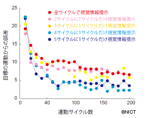 様々な視覚情報提示条件における運動 学習の成績の変化