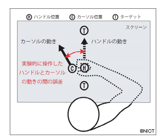 図１： カーソルを2 つのターゲット間で周期的に往復させる運動課題