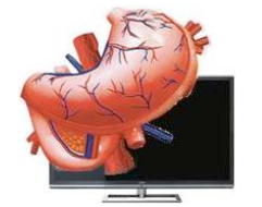 東芝製グラスレス3D 液晶テレビ 「レグザ55X3」 東芝製グラスレス3D 液晶テレビ 「レグザ55X3」