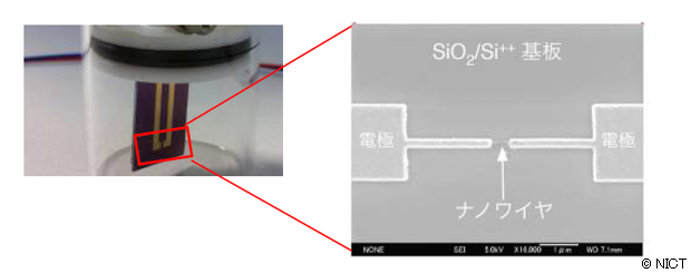 図2 電極間をナノワイヤで架橋が可能