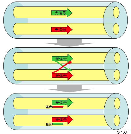 図1 マルチコアファイバでの信号の干渉（クロストーク）のイメージ図