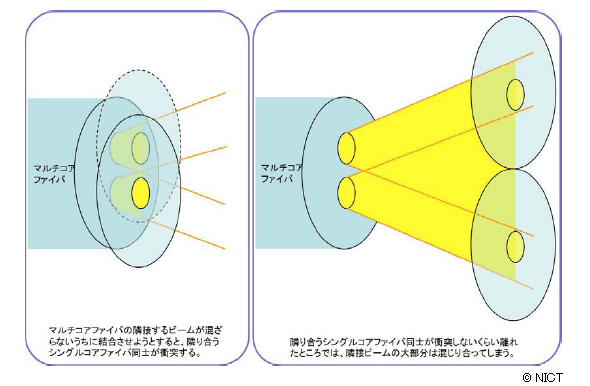 図2 マルチコアファイバとシングルコアファイバとの接続