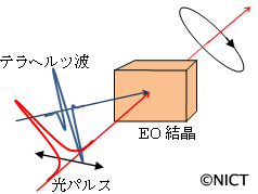 電気光学サンプリングの模式図