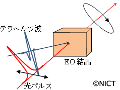 電気光学サンプリングの模式図 電気光学サンプリングの模式図