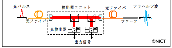 今回開発したテラヘルツ波プローブの構成