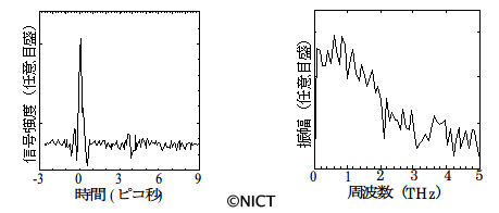 今回開発したテラヘルツ波プローブで観測したテラヘルツ波パルス 今回開発したテラヘルツ波プローブで観測したテラヘルツ波パルス