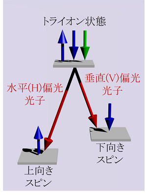 図1:半導体量子ドットにおけるエネルギー状態