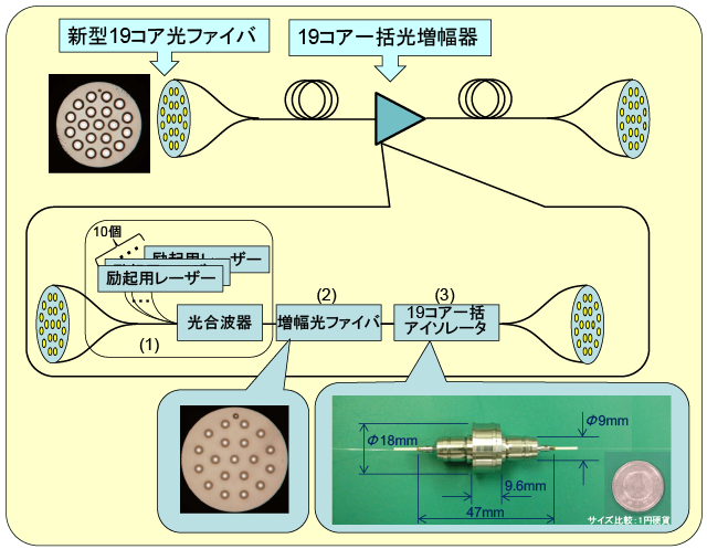 図1　今回開発した「19コア一括光増幅器」構成図