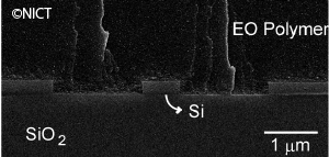 (d) 断面の電子顕微鏡（SEM）写真