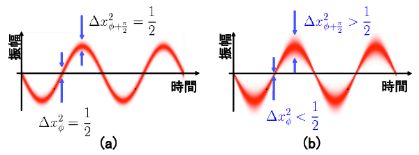 図（a）理想的なレーザー光の量子揺らぎ。位相によらず一定　（b）スクィーズド光の量子揺らぎ。180度毎の位相で量子揺らぎを抑圧できる。