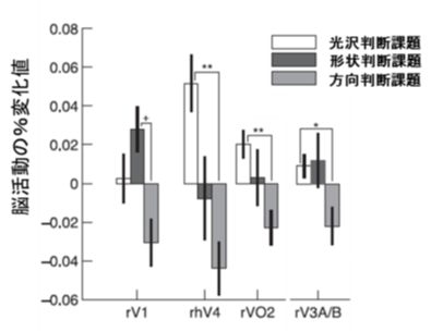 図6：右脳部位の脳活動変化（実験2）