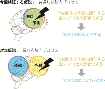 図3 仮説の検証方法