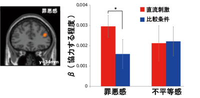 図3 脳活動解析と電流刺激の結果