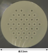 36コアマルチモードファイバ断面の写真