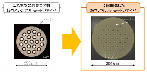 図1　今回開発した36コアマルチモードファイバ