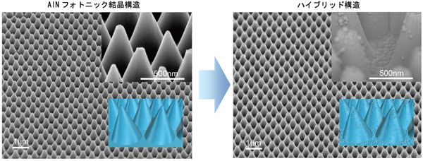 図1　今回開発したAlGaN系深紫外LED素子構造の模式図（上図）、 ナノ光取出し構造として作製されたAlNフォトニック結晶構造（左図）とハイブリッド構造（右図）の走査電子顕微鏡写真