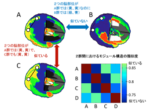 図2　2群間におけるモジュール構造の類似度