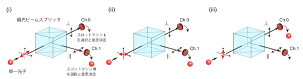 図１　単一光子を用いた意思決定の原理の概要図