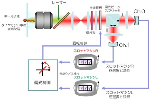 図2　単一光子を用いた意思決定システムのアーキテクチャ