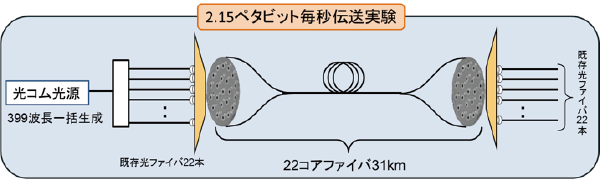 図3　実験概要図