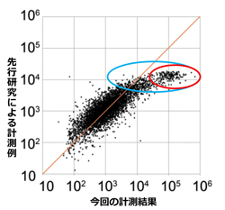 図3　各遺伝子のmRNAレベルの相対値比較