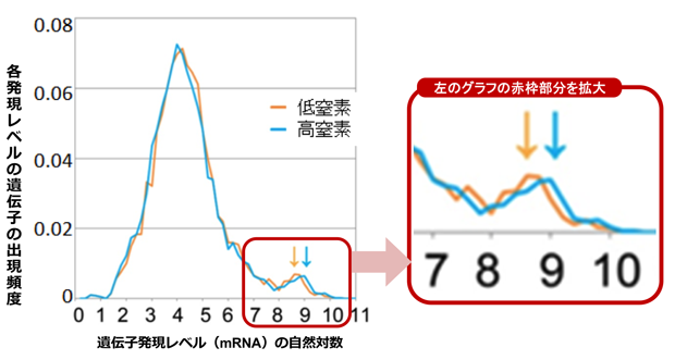 図5　低窒素環境では、高発現域のピークがわずかに左方に移動する