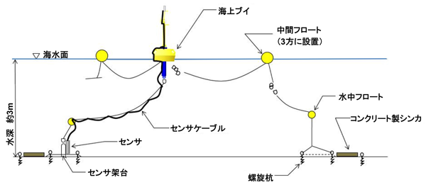 図3 海上ブイ構成：（a） 設置概要