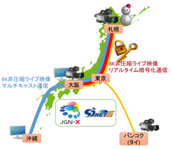 今回の実験概要