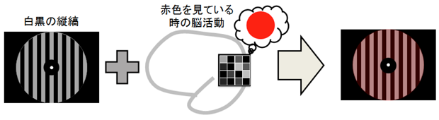 白黒の画像に色の見えを作り出す技術を開発