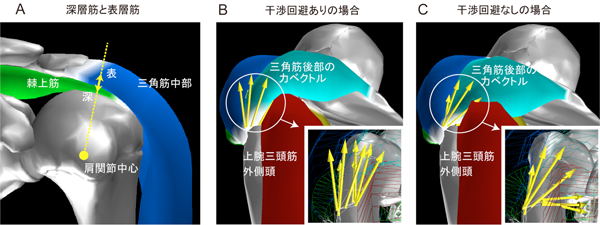 図2　干渉の回避