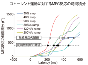 コヒーレント運動に対するMEG反応の時間積分 コヒーレント運動に対するMEG反応の時間積分
