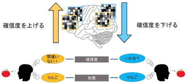 プレスリリース 自己意識を本人が無自覚のうちに変容できるニューロフィードバック技術の開発 Nict 情報通信研究機構