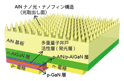 今回開発した深紫外LEDの模式図 今回開発した深紫外LEDの模式図