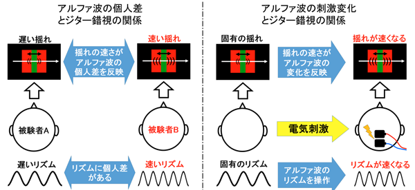 アルファ波の個人差とジター錯視の関係　アルファ波の刺激変化とジター錯視の関係