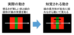 ジター錯視 ジター錯視