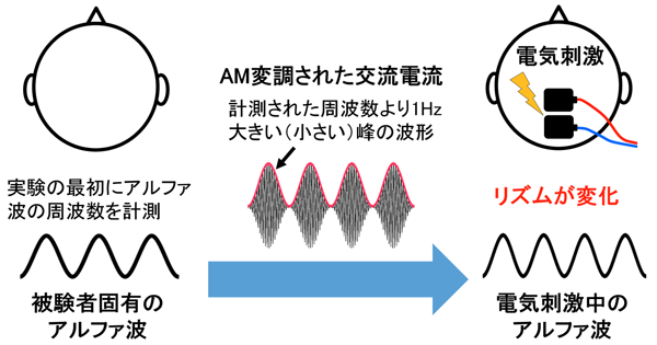 図1:アルファ波変調技術の概略図 図1:アルファ波変調技術の概略図