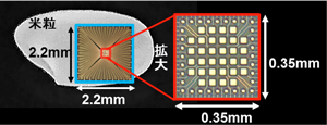 米粒よりはるかに小さい「高速集積型受光素子」（赤い四角）