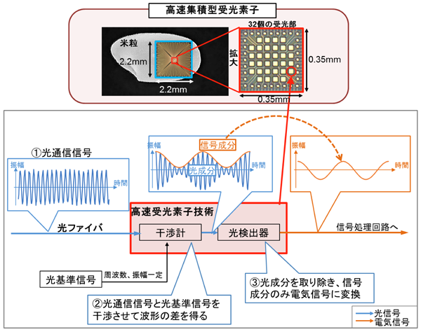 図1: 高速集積型受光素子の構造と処理イメージ