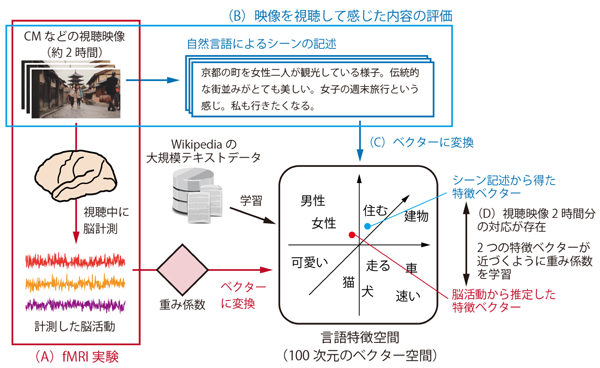 図2: デコーダー構築の概要図