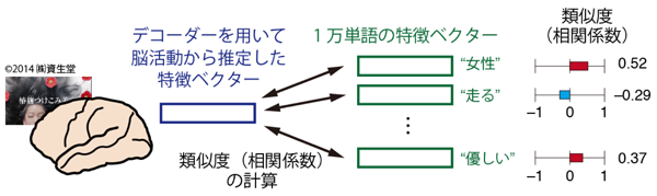 図3: デコーダーの推定を用いた、映像を見て感じた内容を表すもっともらしい単語の推定