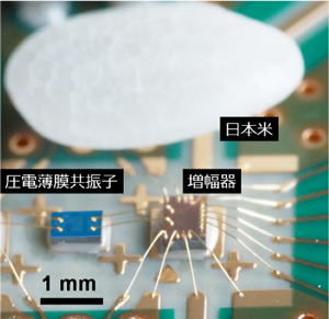 図1. 圧電薄膜共振子を用いた発振器の写真