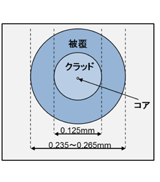 広く利用されている標準外径光ファイバの断面イメージ