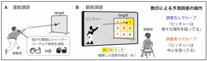 図3: 被験者が行った運動課題（A）と観察課題（B）