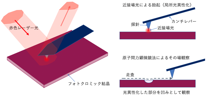 図2　近接場光による光異性化とその場観察のイメージ図