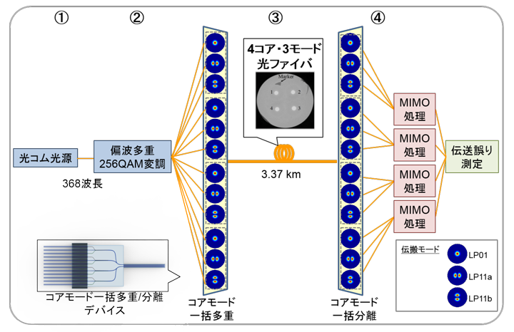 図2 伝送システムの概略図