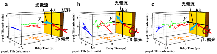 図2：p偏光(a)、R偏光(b)、L偏光(c)