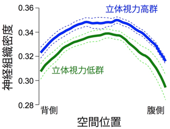 図2右: VOFの神経組織密度（縦軸）と立体視力成績の関係