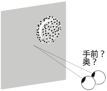 図3: 立体視力成績計測の模式図